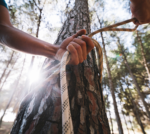 crop person tying rope tree 1