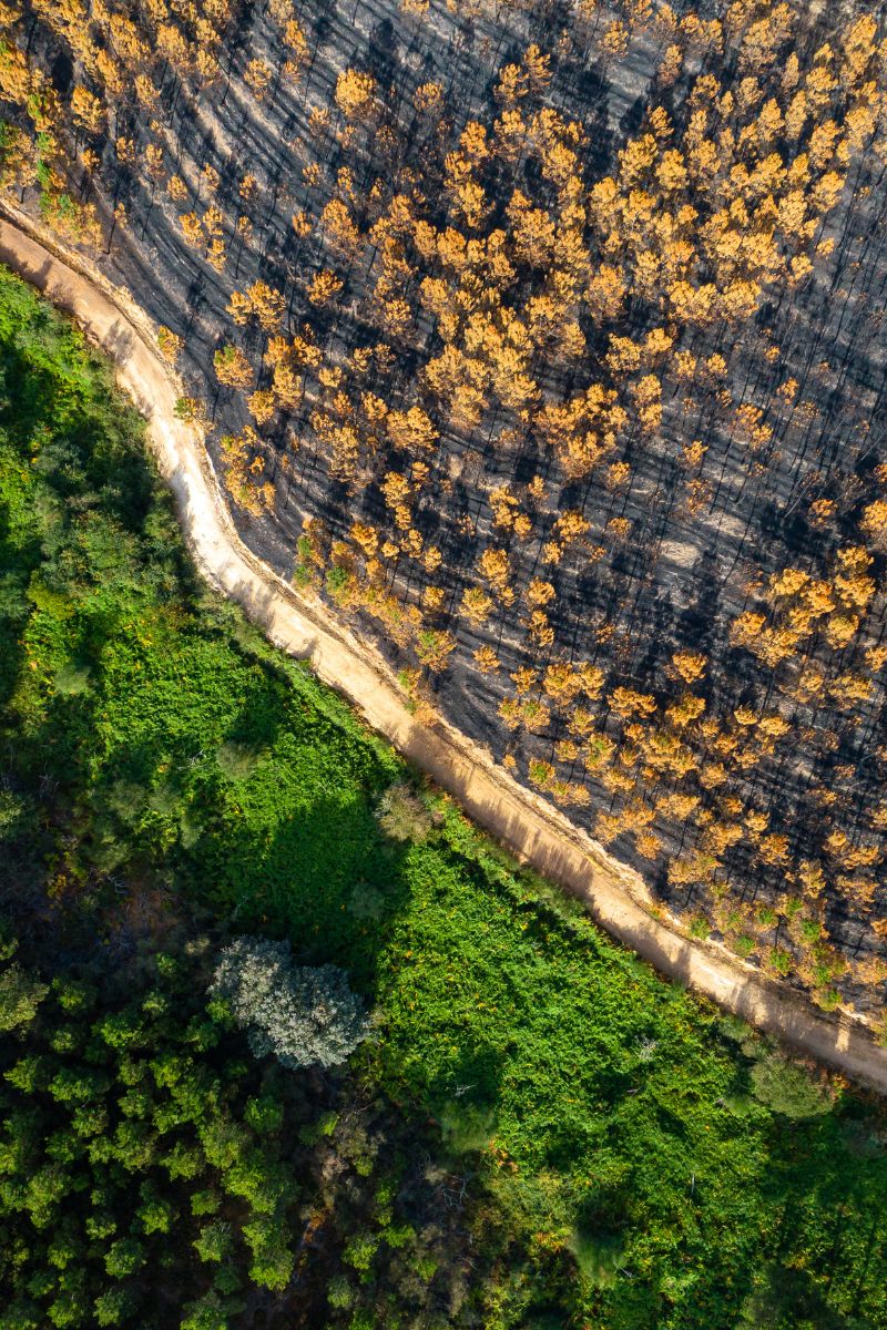 aerial shot of fire road break