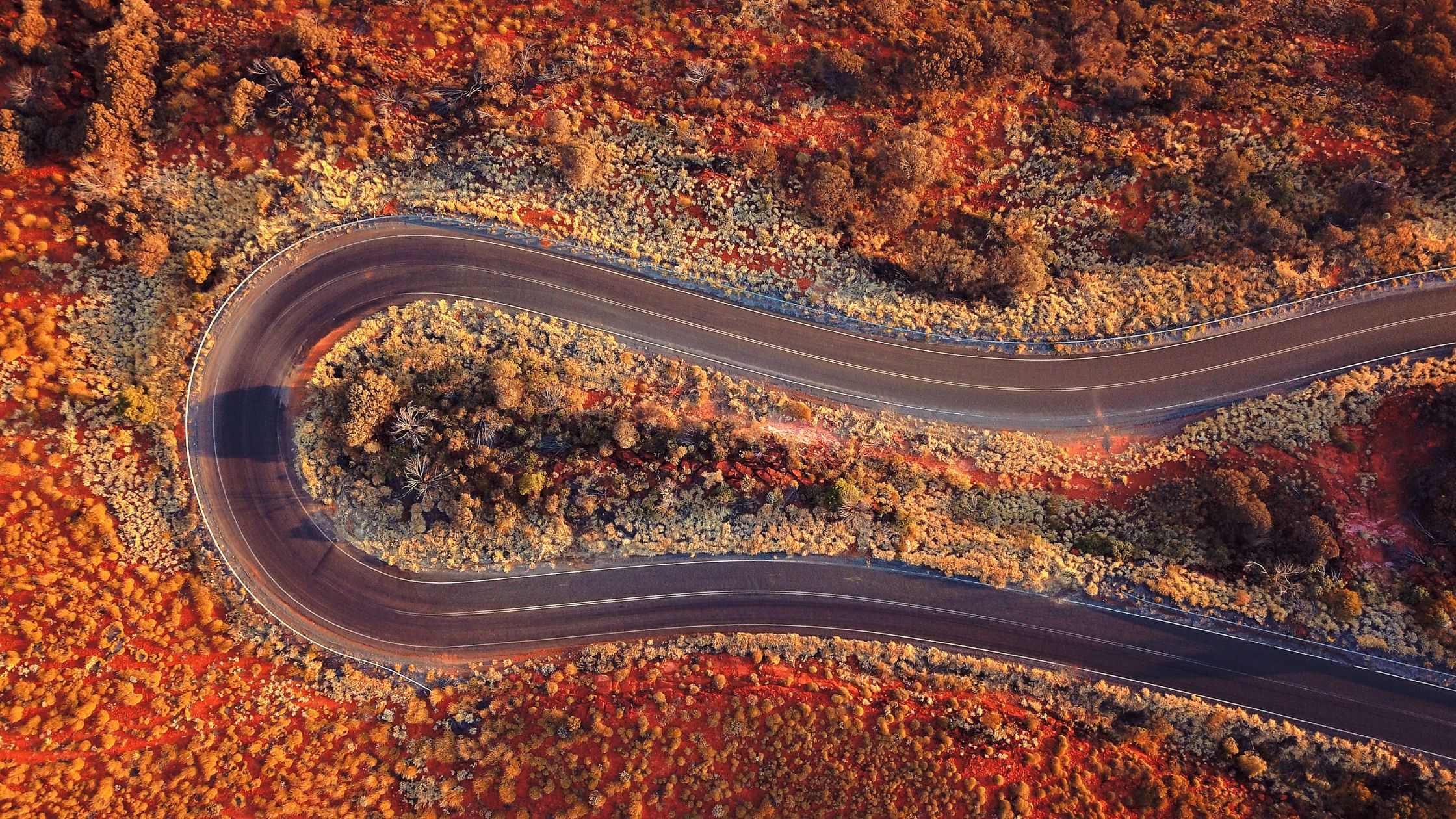 australian biodiversity