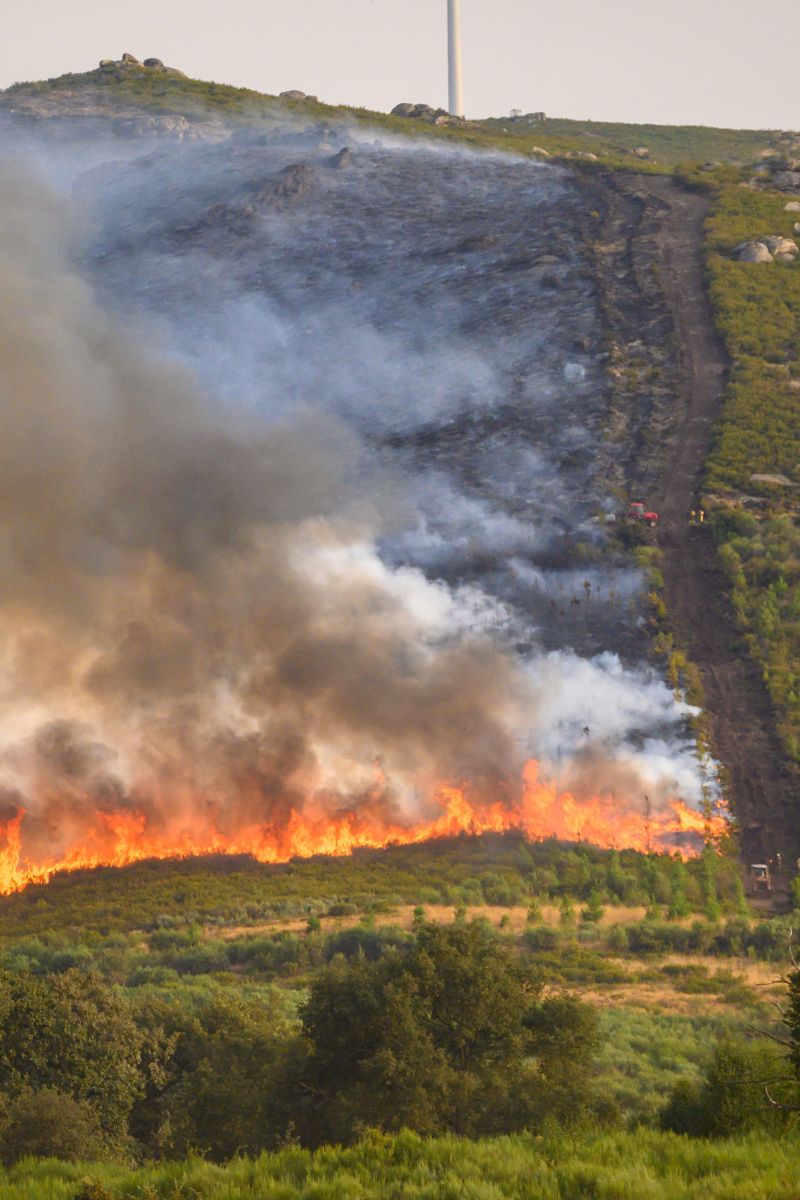 effective firebreak application