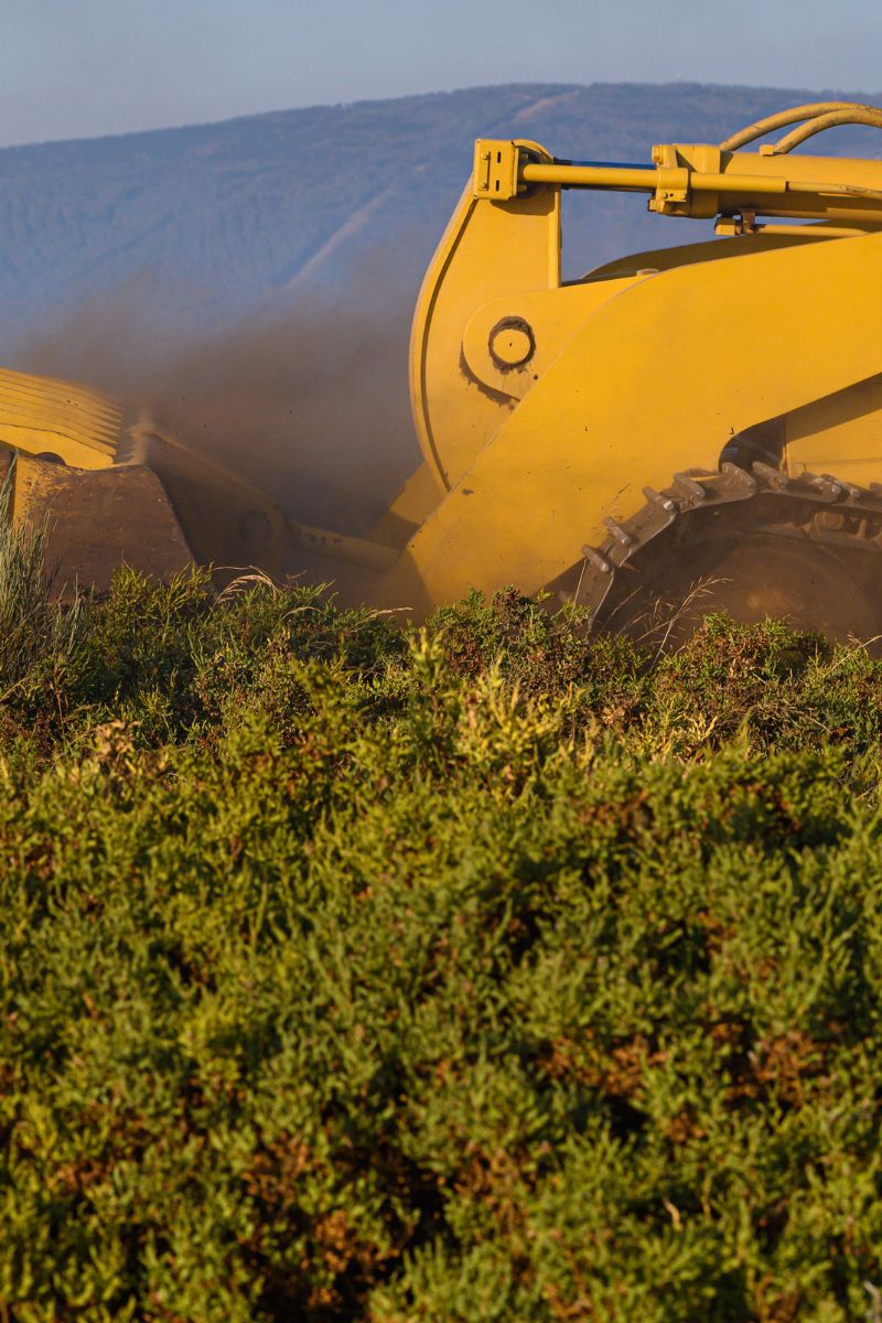 firebreak excavation